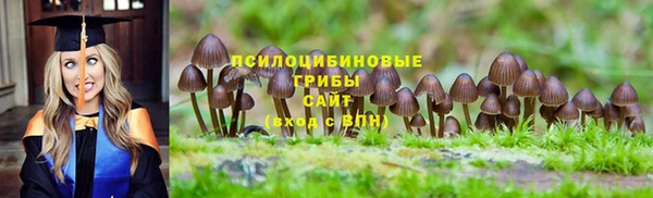 первитин Протвино