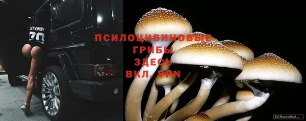 первитин Пролетарск