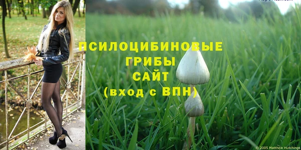 первитин Пролетарск